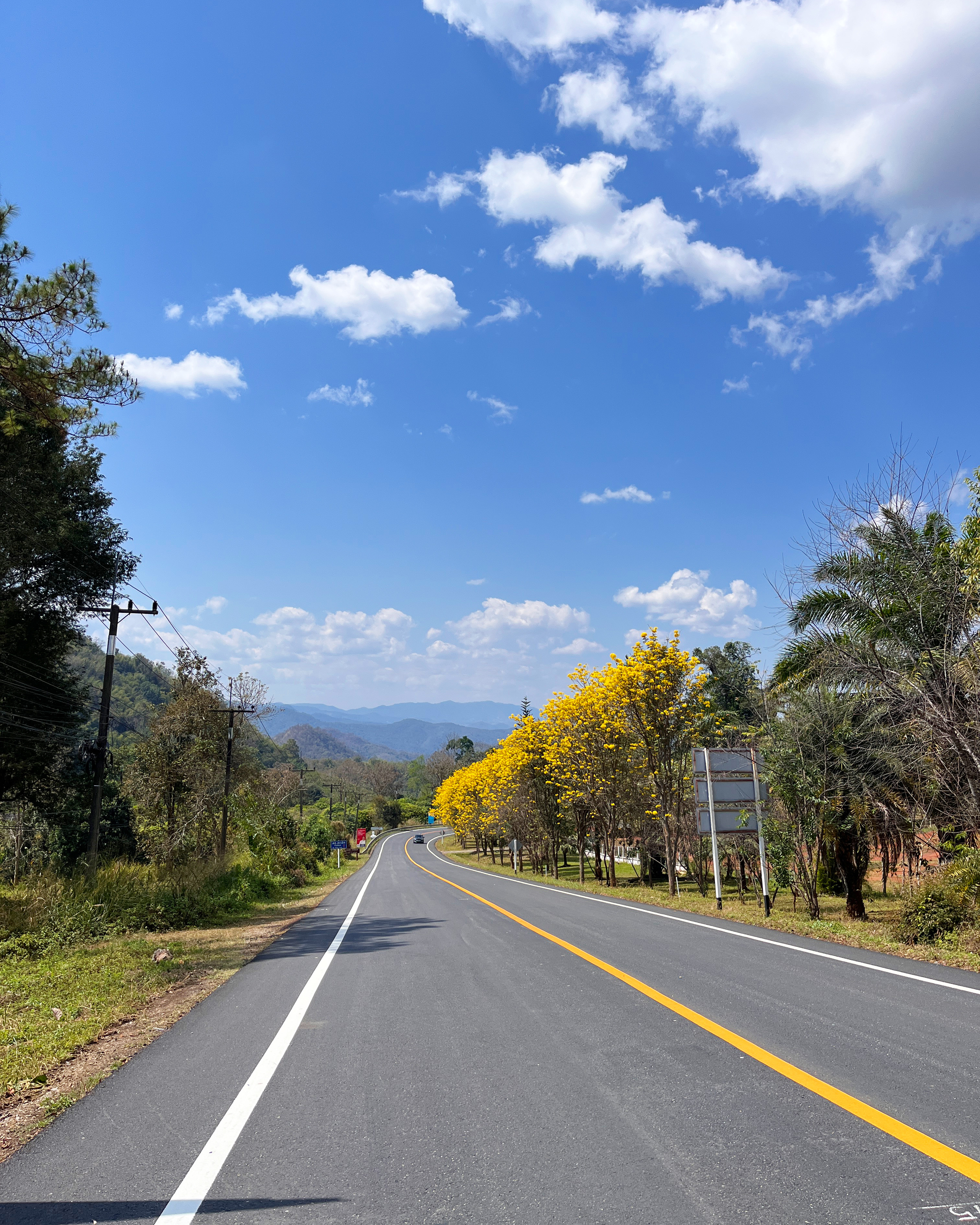 Scenic winding mountain road through green hills in northern Thailand at golden hour.