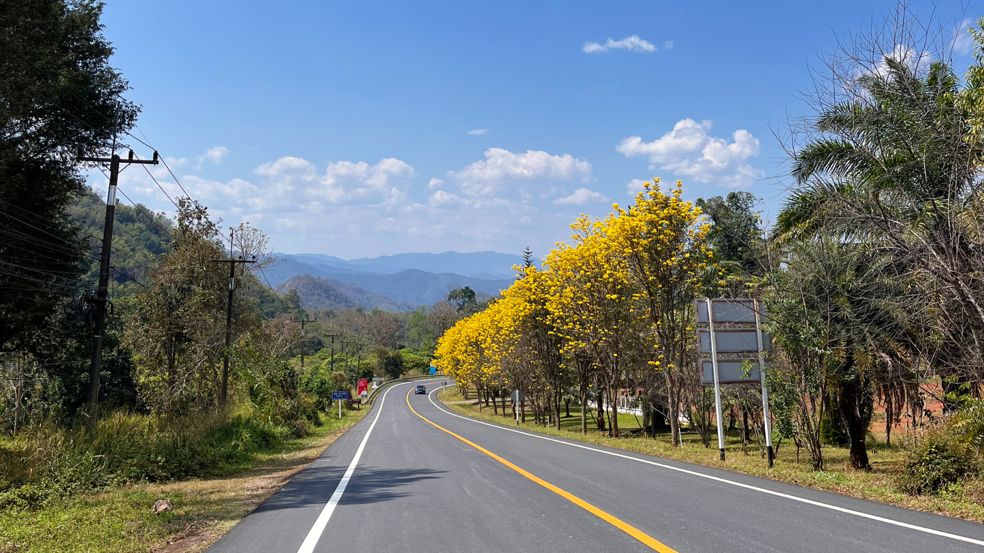 Healing travel journey through scenic landscapes