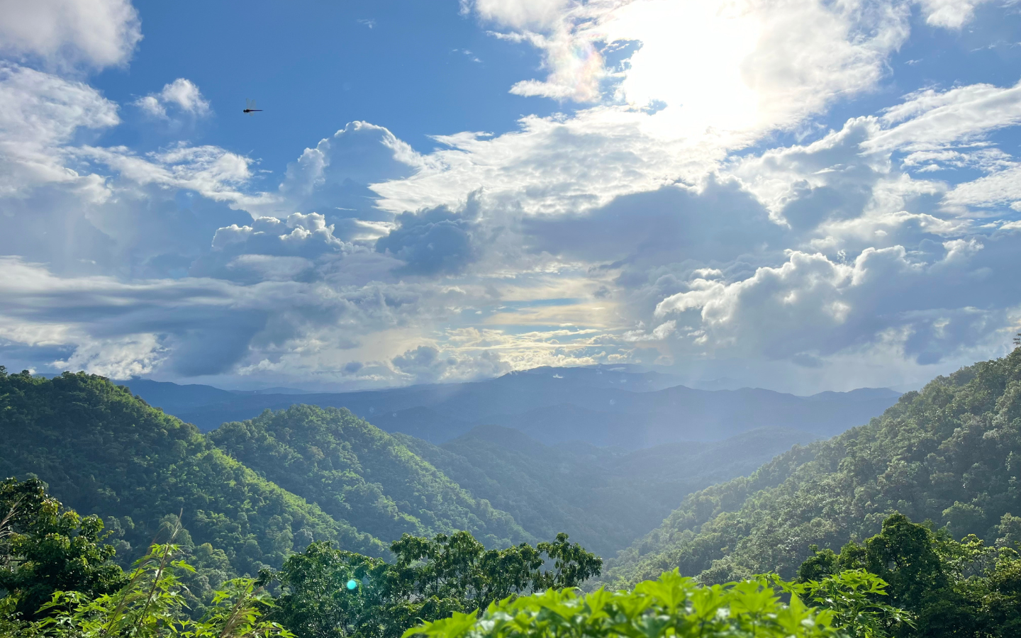 Cinematic mountain landscape in northern Thailand at golden hour with a vintage vespa, wildflowers, a film camera and coffee on a wooden table.